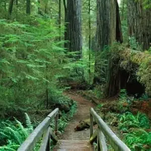 27 Inch, 4K UHD (3840 x 2160) IPS Display, Ultra-Thin Bezel, AMD FreeSync, HDMI, DisplayPort