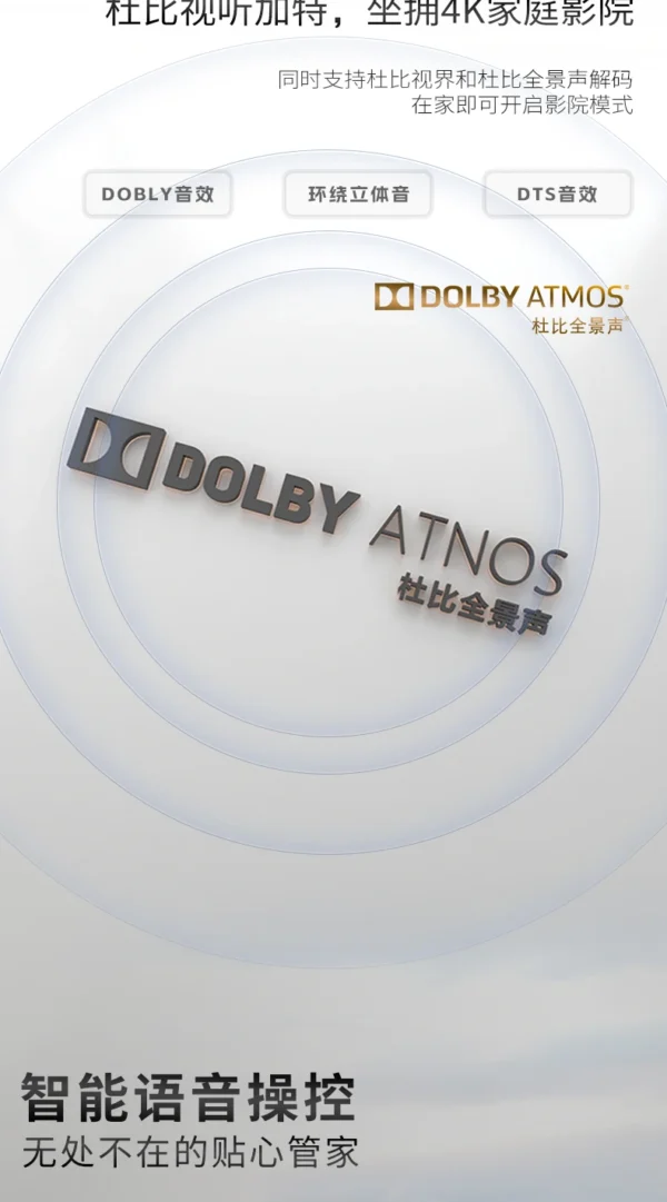 110 Inch Smart TV 4K UHD Frameless LED TV 120Hz Refresh Rate Android WiFi Voice Remote Wall Mountable